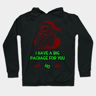 Santa's Big Package Hoodie